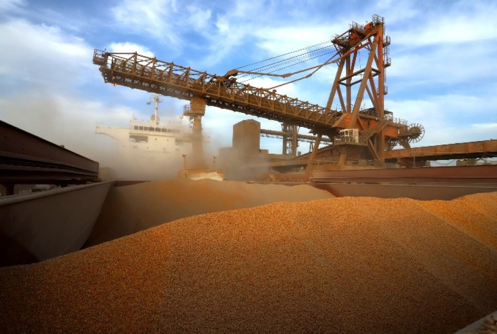 Queda Nas Exportações de Milho: Entenda o Impacto da Desaceleração no Agronegócio!